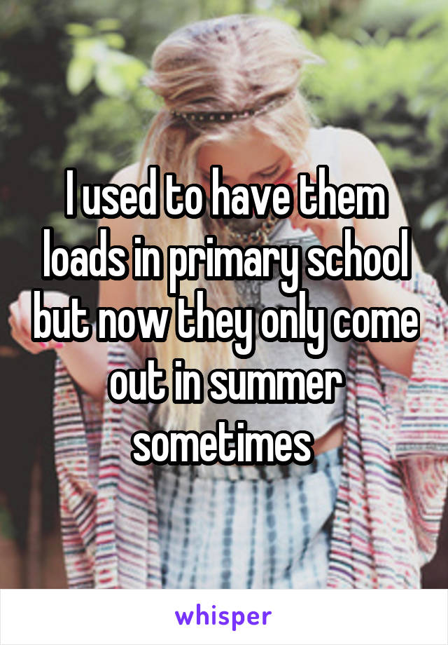 I used to have them loads in primary school but now they only come out in summer sometimes 