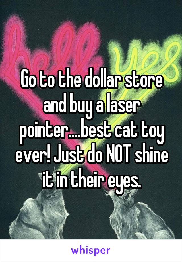 Go to the dollar store and buy a laser pointer....best cat toy ever! Just do NOT shine it in their eyes.