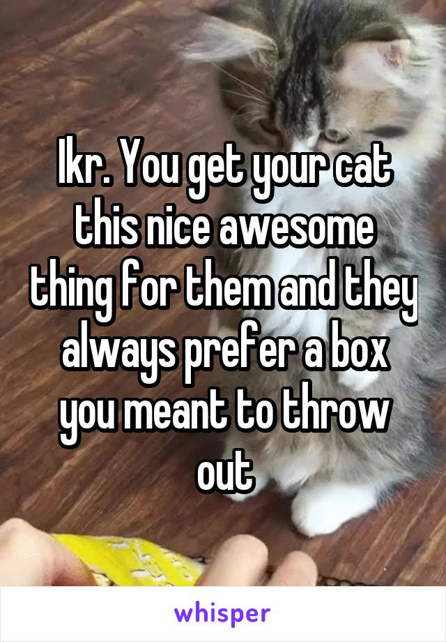 Ikr. You get your cat this nice awesome thing for them and they always prefer a box you meant to throw out