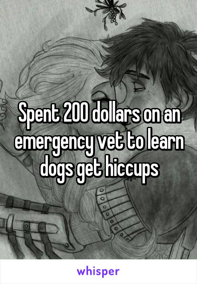 Spent 200 dollars on an emergency vet to learn dogs get hiccups