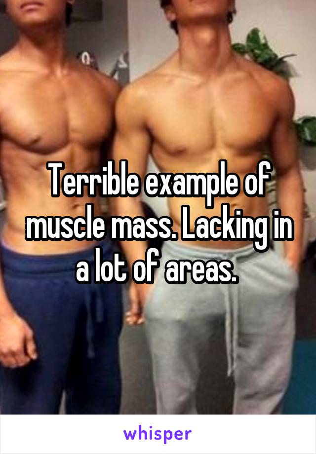 Terrible example of muscle mass. Lacking in a lot of areas. 