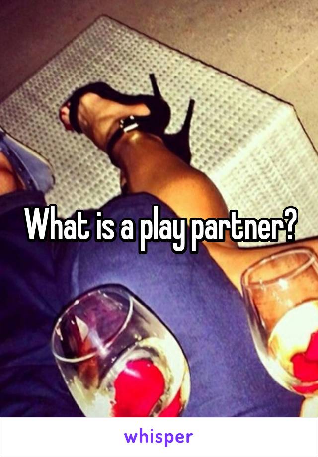 What is a play partner?