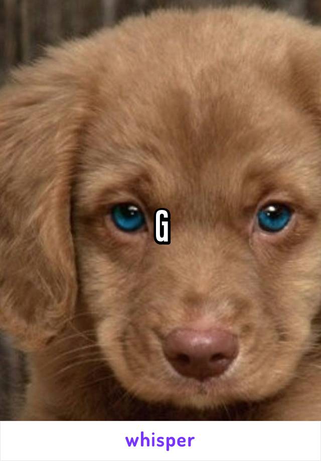 G