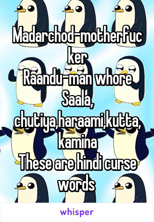 madarchod-motherfucker-raandu-man-whore-saala-chutiya-haraami-kutta