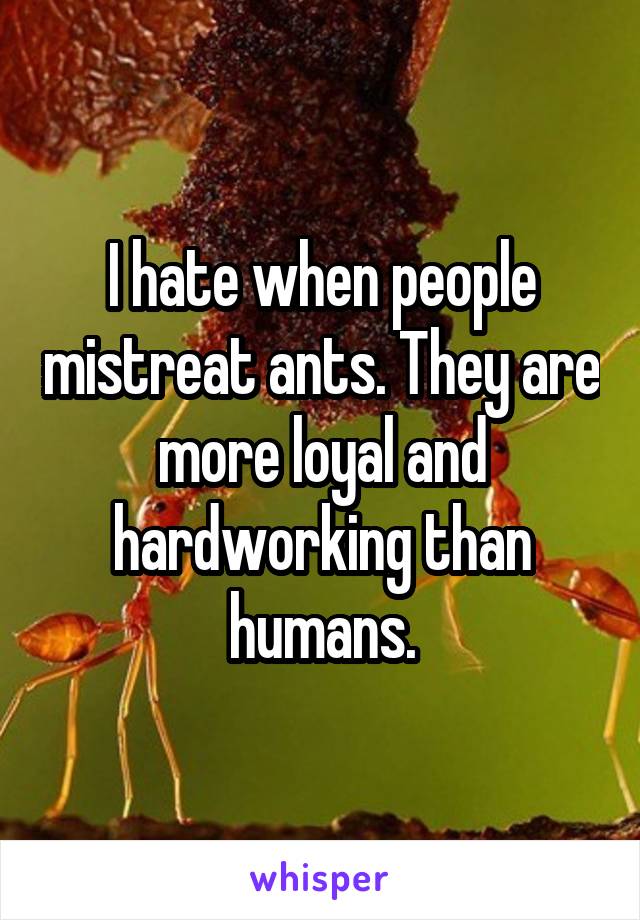 I hate when people mistreat ants. They are more loyal and hardworking than humans.