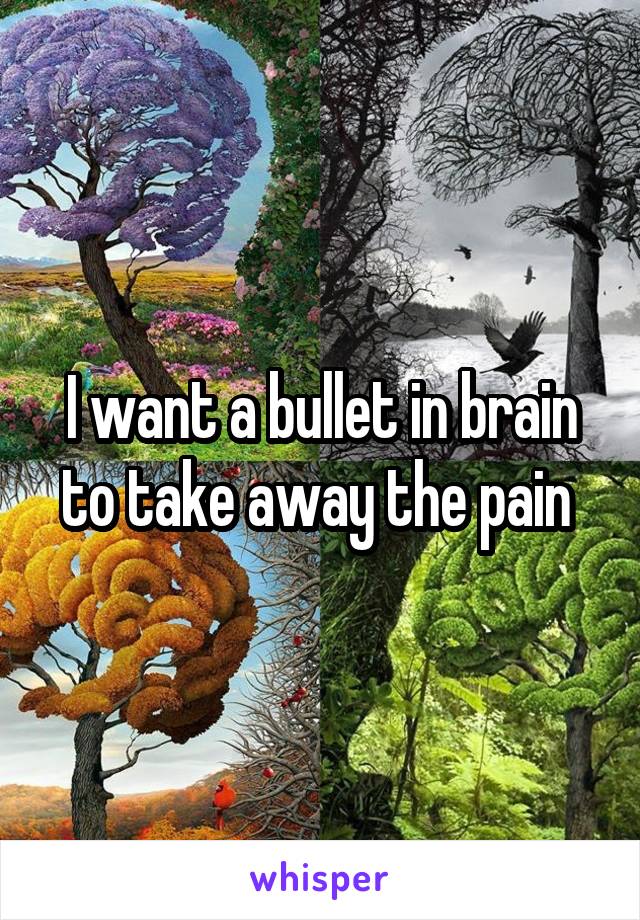 I want a bullet in brain to take away the pain 