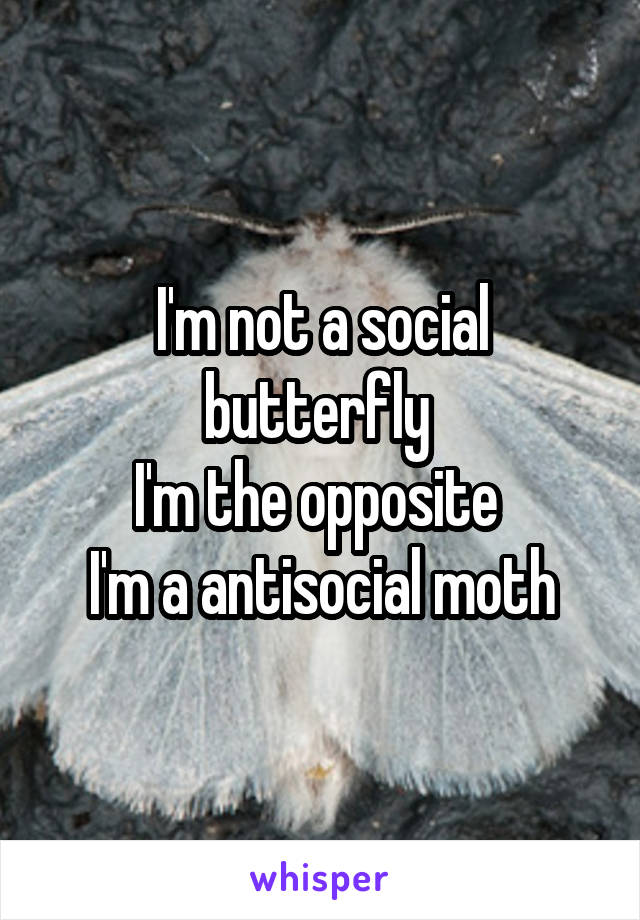 I'm not a social butterfly 
I'm the opposite 
I'm a antisocial moth