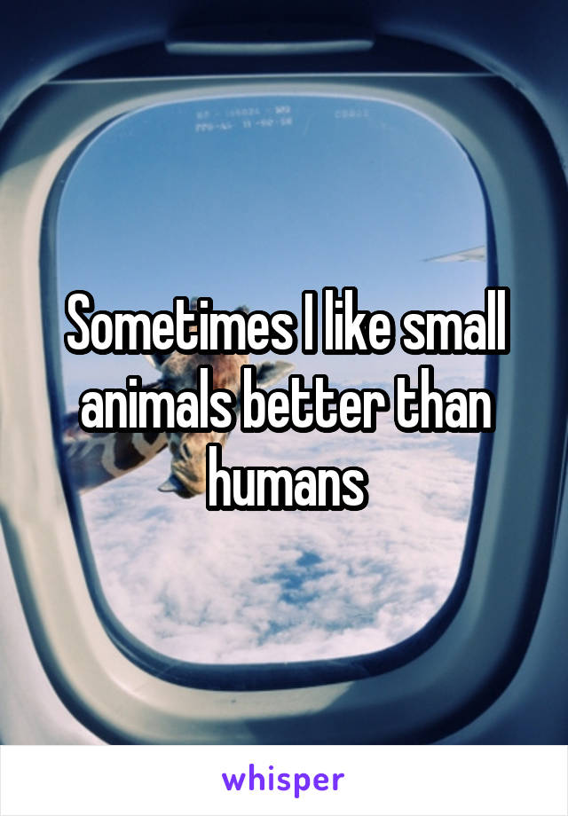 Sometimes I like small animals better than humans