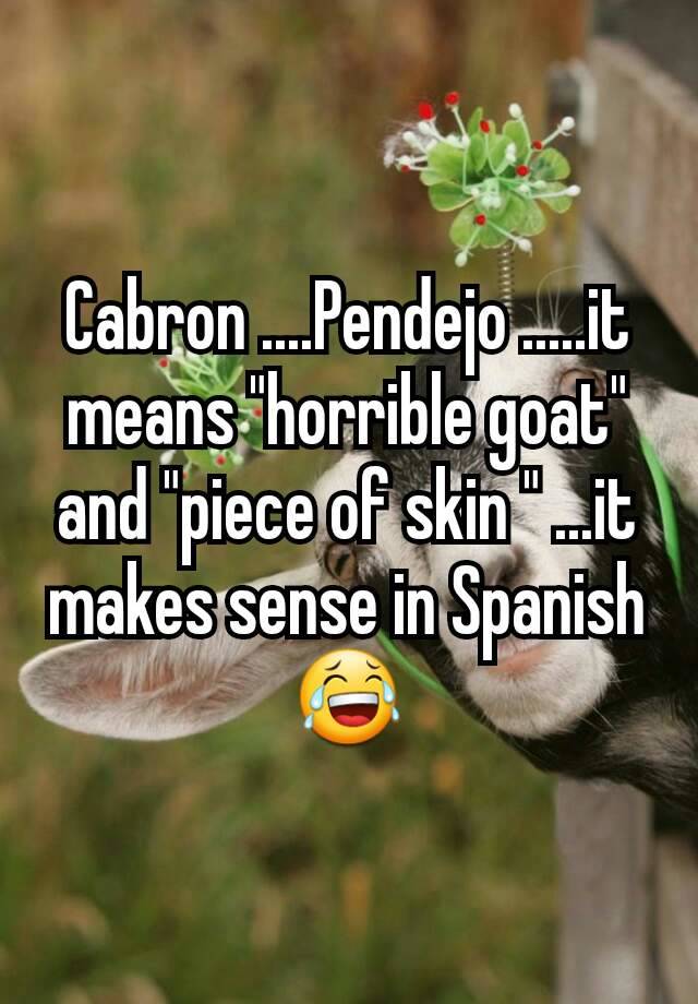 cabron-pendejo-it-means-horrible-goat-and-piece-of-skin