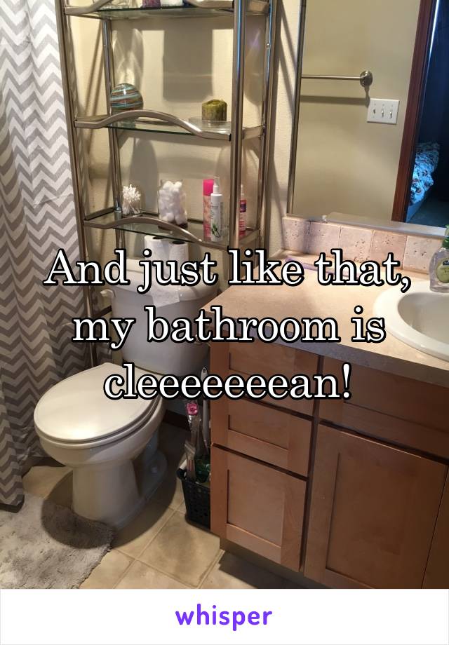 And just like that, my bathroom is cleeeeeeean!