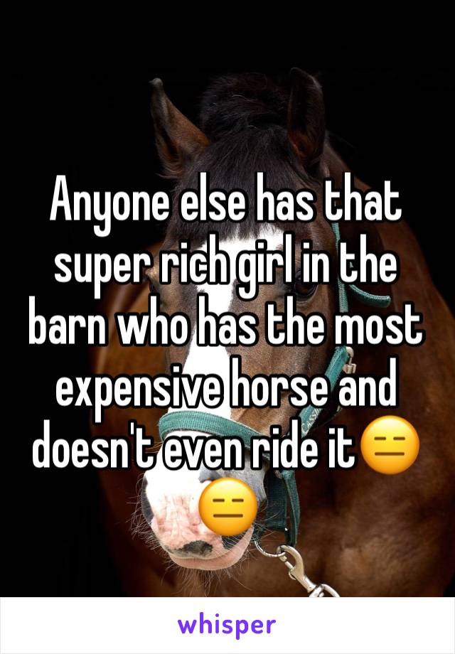 Anyone else has that super rich girl in the barn who has the most expensive horse and doesn't even ride it😑😑