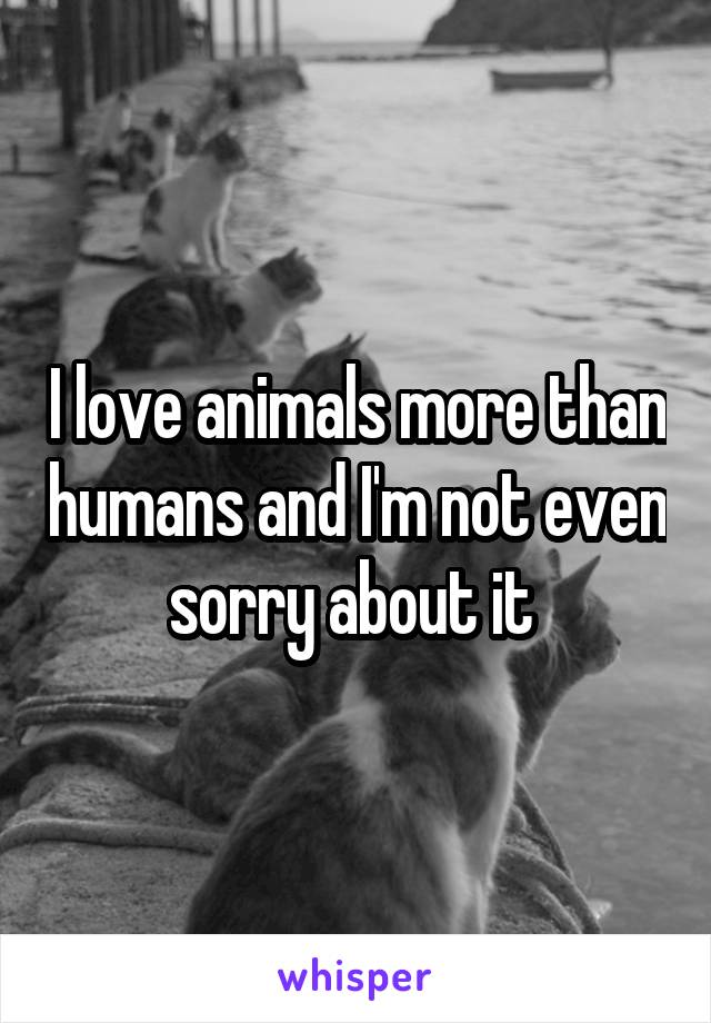 I love animals more than humans and I'm not even sorry about it 