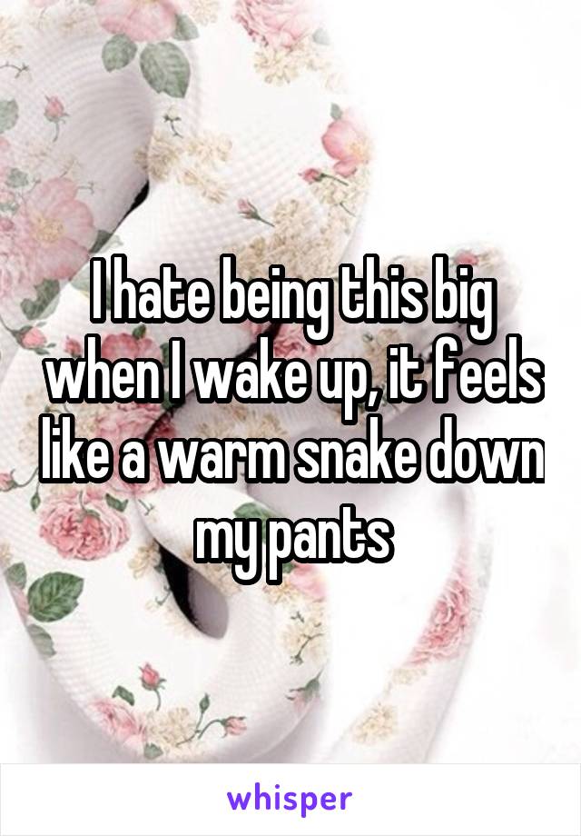 I hate being this big when I wake up, it feels like a warm snake down my pants