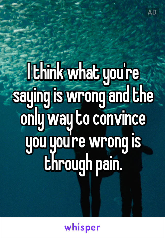 I think what you're saying is wrong and the only way to convince you you're wrong is through pain.