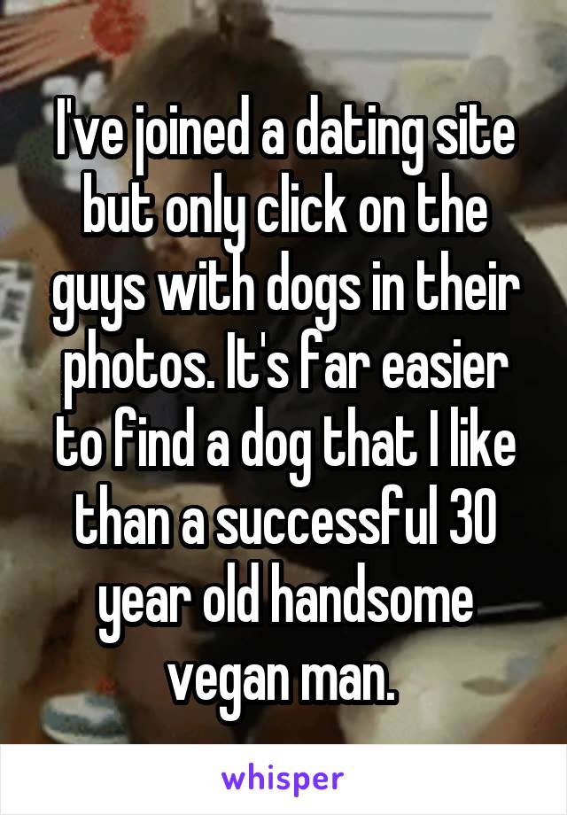 I've joined a dating site but only click on the guys with dogs in their photos. It's far easier to find a dog that I like than a successful 30 year old handsome vegan man. 