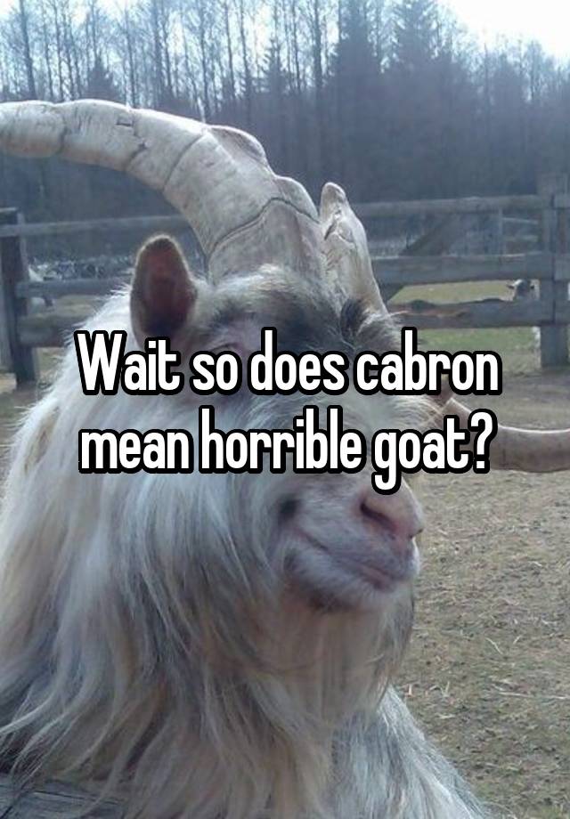 wait-so-does-cabron-mean-horrible-goat