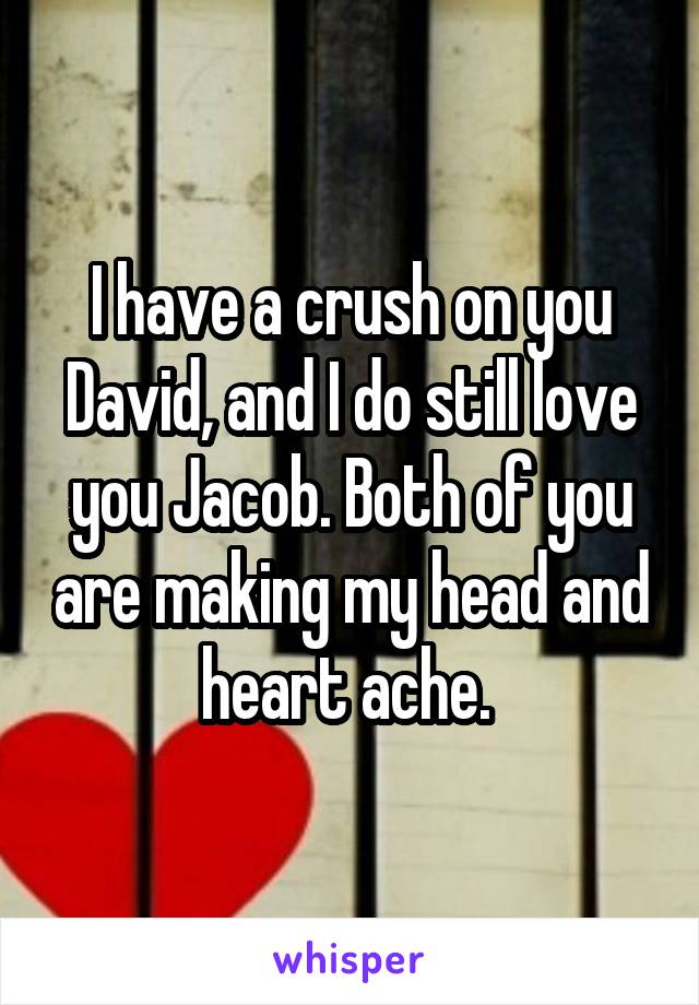 I have a crush on you David, and I do still love you Jacob. Both of you are making my head and heart ache. 