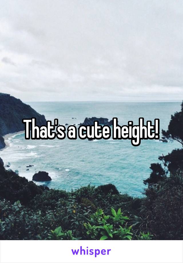 That's a cute height! 