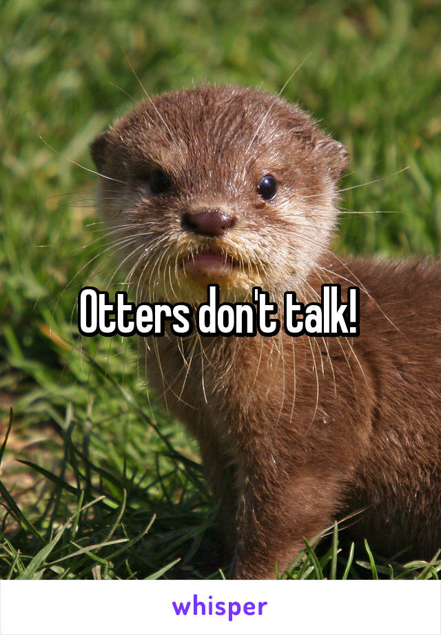 Otters don't talk! 