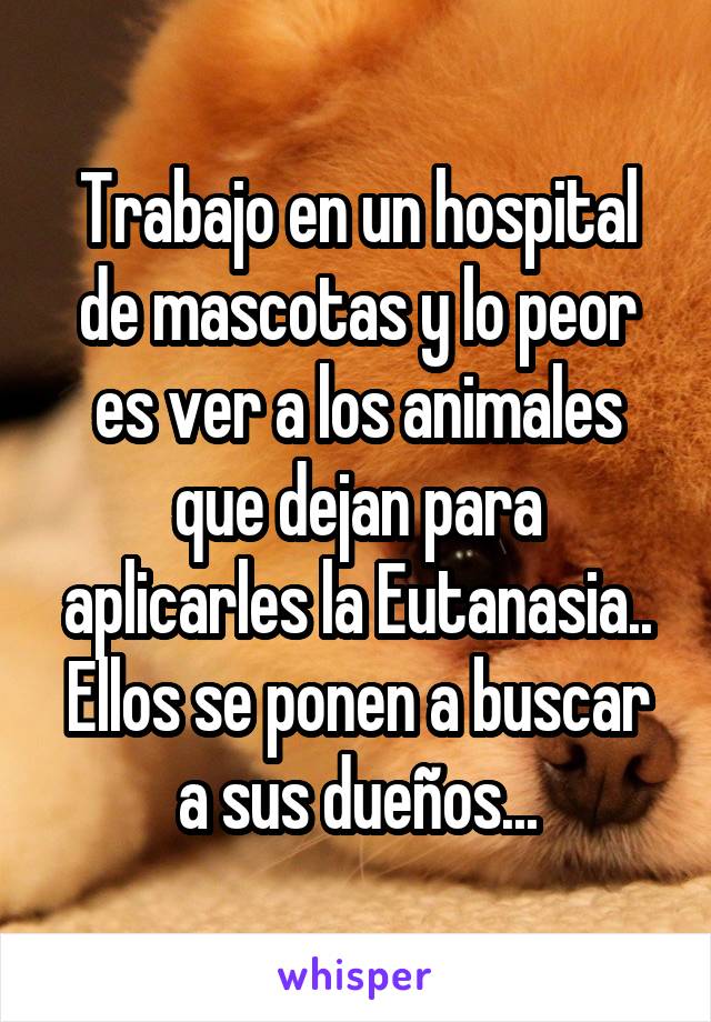 Trabajo en un hospital de mascotas y lo peor es ver a los animales que dejan para aplicarles la Eutanasia.. Ellos se ponen a buscar a sus dueños...