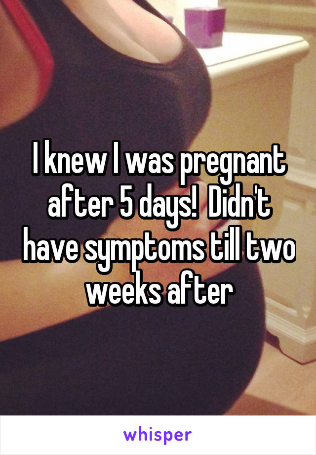 I knew I was pregnant after 5 days!  Didn't have symptoms till two weeks after