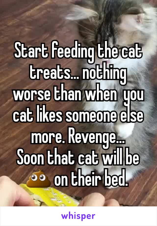 Start feeding the cat treats... nothing worse than when  you cat likes someone else more. Revenge...
Soon that cat will be 💩 on their bed. 