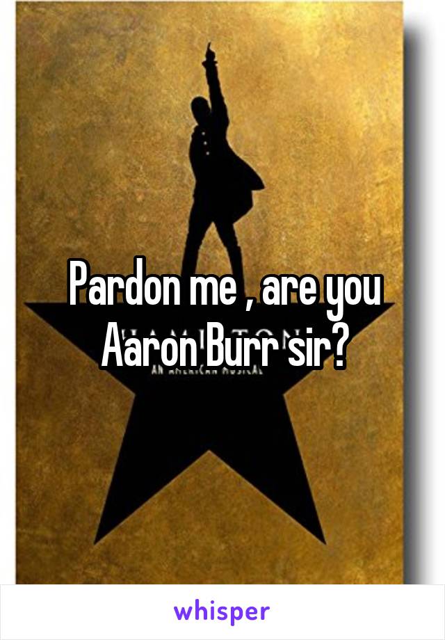 Pardon me , are you Aaron Burr sir?