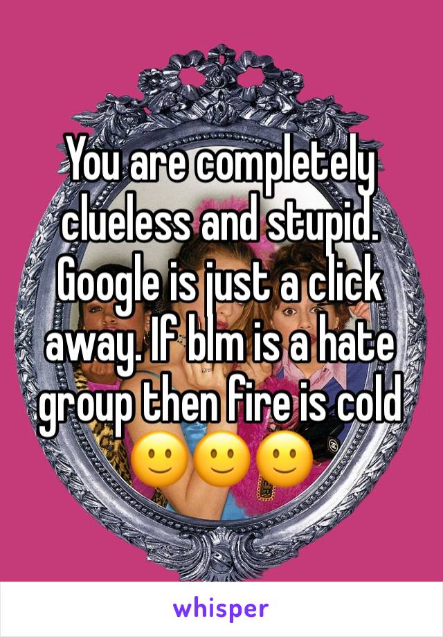 You are completely clueless and stupid. Google is just a click away. If blm is a hate group then fire is cold 🙂🙂🙂