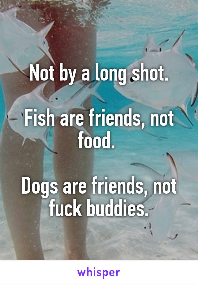 Not by a long shot.

Fish are friends, not food. 

Dogs are friends, not fuck buddies.