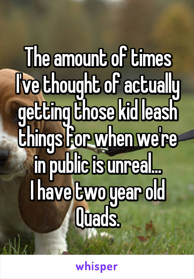 The amount of times I've thought of actually getting those kid leash things for when we're in public is unreal...
I have two year old Quads.