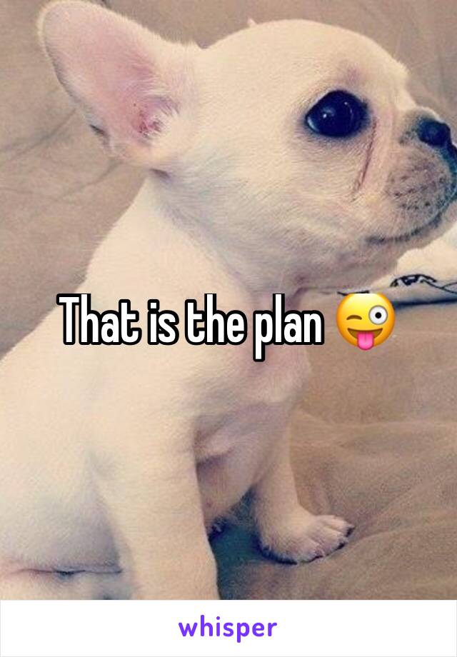 That is the plan 😜