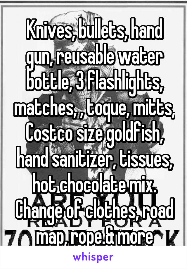 Knives, bullets, hand gun, reusable water bottle, 3 flashlights, matches, , toque, mitts, Costco size goldfish, hand sanitizer, tissues, hot chocolate mix. Change of clothes, road map, rope.& more