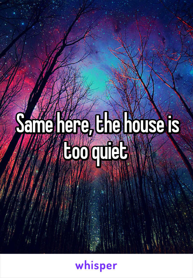 Same here, the house is too quiet 