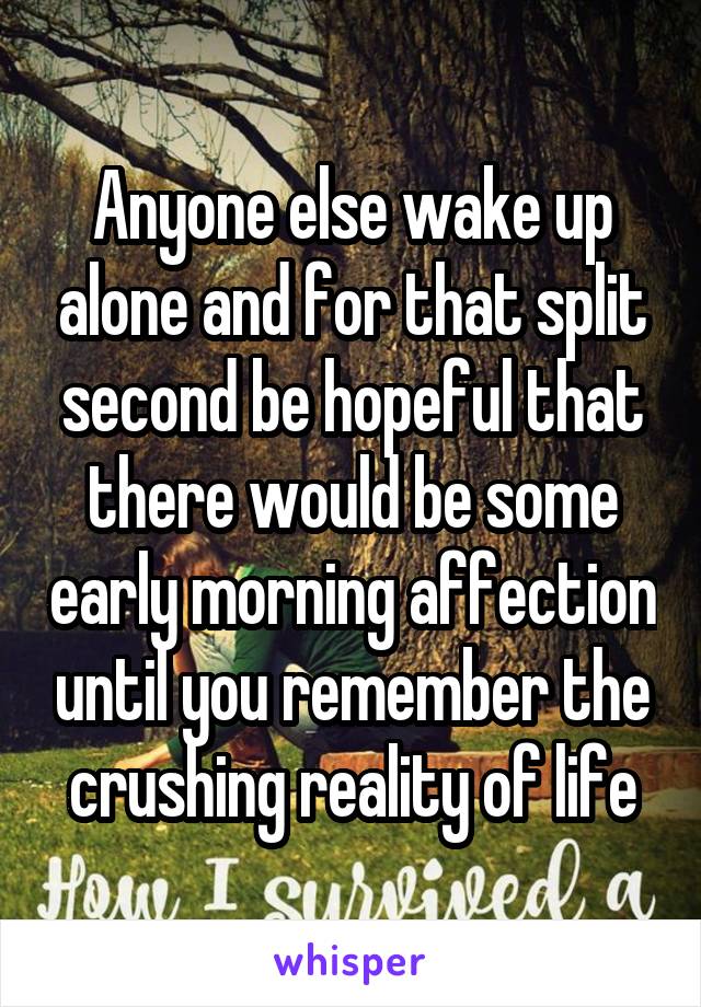 Anyone else wake up alone and for that split second be hopeful that there would be some early morning affection until you remember the crushing reality of life