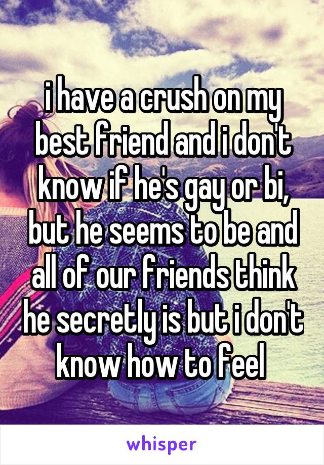 i have a crush on my best friend and i don't know if he's gay or bi, but he seems to be and all of our friends think he secretly is but i don't know how to feel 