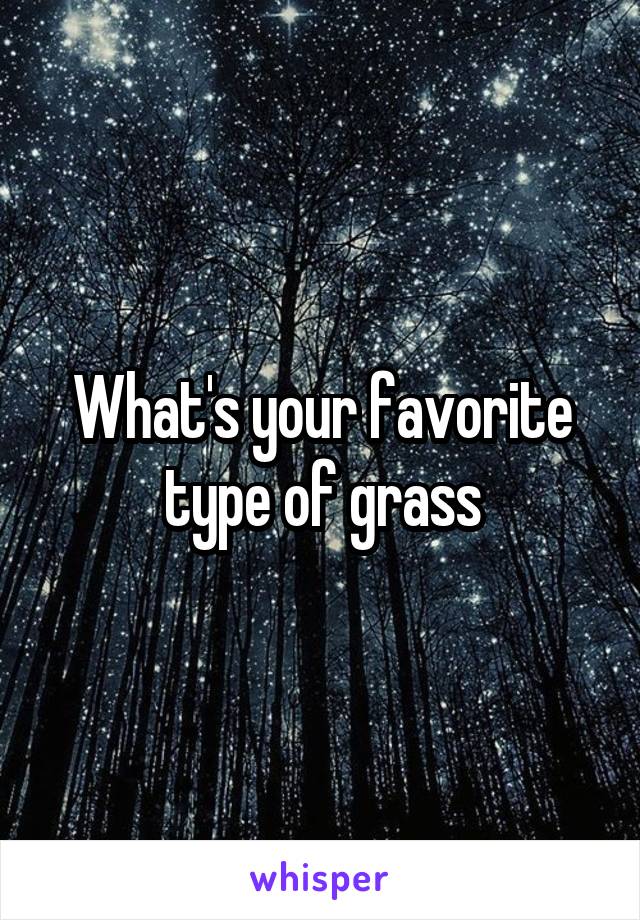 What's your favorite type of grass