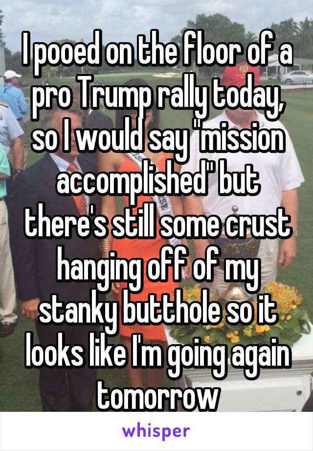 I pooed on the floor of a pro Trump rally today, so I would say "mission accomplished" but there's still some crust hanging off of my stanky butthole so it looks like I'm going again tomorrow