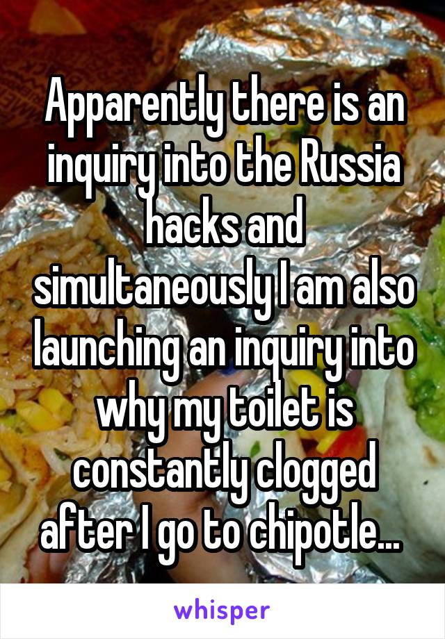 Apparently there is an inquiry into the Russia hacks and simultaneously I am also launching an inquiry into why my toilet is constantly clogged after I go to chipotle... 