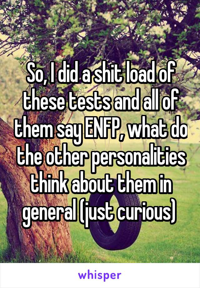 So, I did a shit load of these tests and all of them say ENFP, what do the other personalities think about them in general (just curious) 