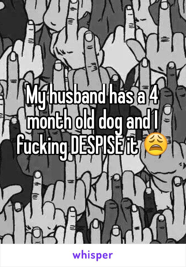 My husband has a 4 month old dog and I fucking DESPISE it 😩