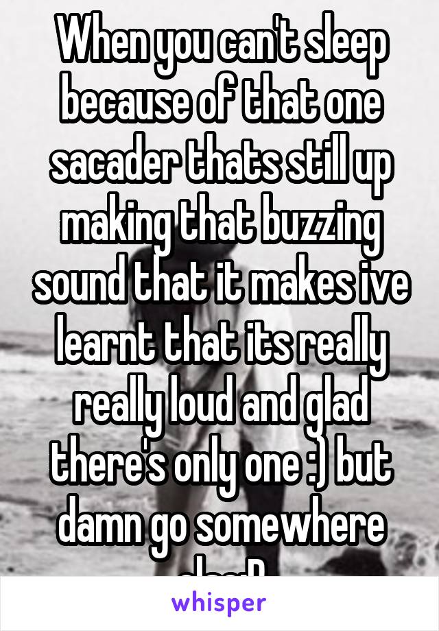 When you can't sleep because of that one sacader thats still up making that buzzing sound that it makes ive learnt that its really really loud and glad there's only one :) but damn go somewhere else:P