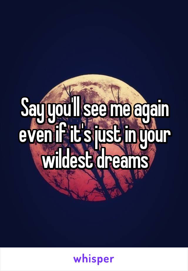 Say you'll see me again even if it's just in your wildest dreams