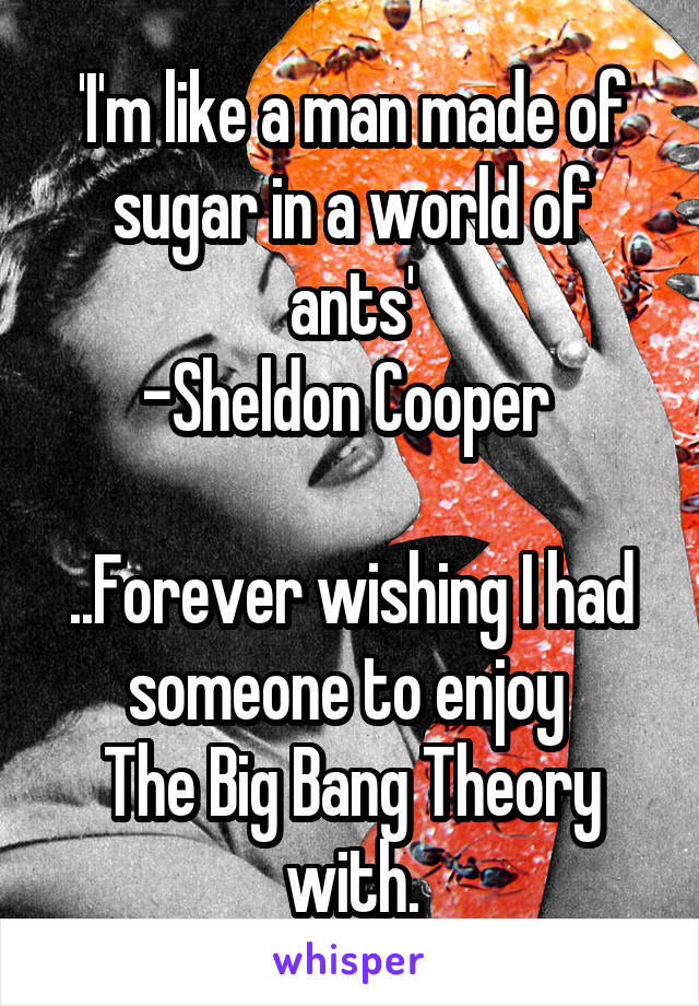 'I'm like a man made of sugar in a world of ants'
-Sheldon Cooper 

..Forever wishing I had someone to enjoy 
The Big Bang Theory with.