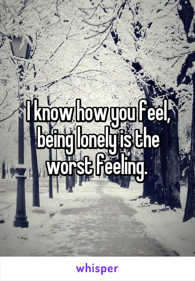 I know how you feel, being lonely is the worst feeling. 