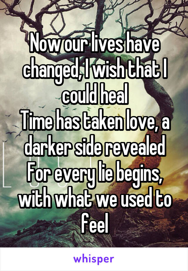 Now our lives have changed, I wish that I could heal
Time has taken love, a darker side revealed
For every lie begins, with what we used to feel