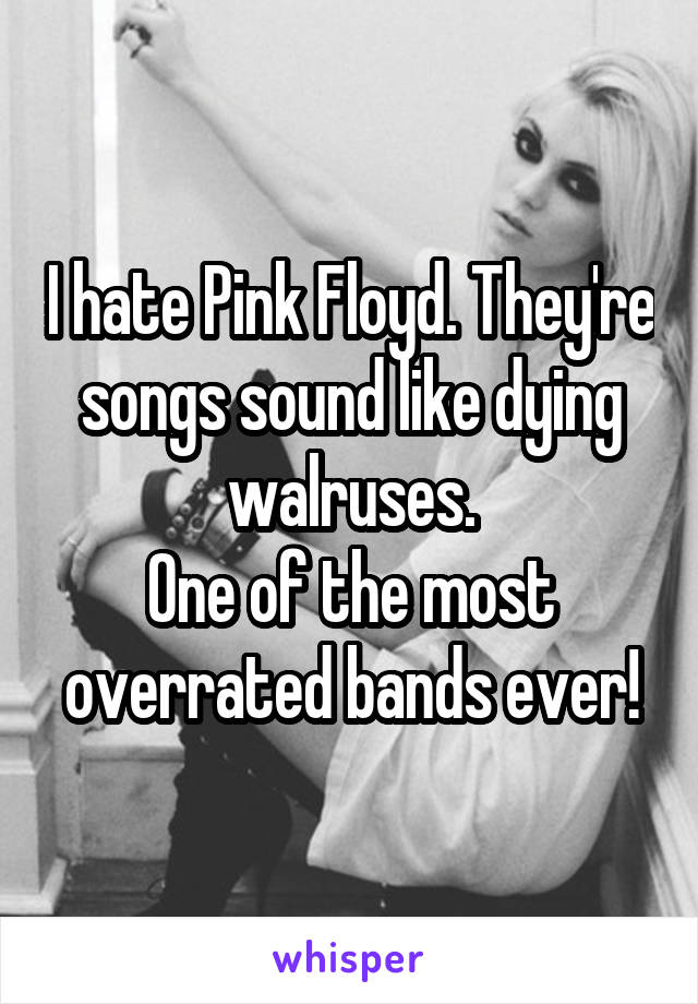 I hate Pink Floyd. They're songs sound like dying walruses.
One of the most overrated bands ever!