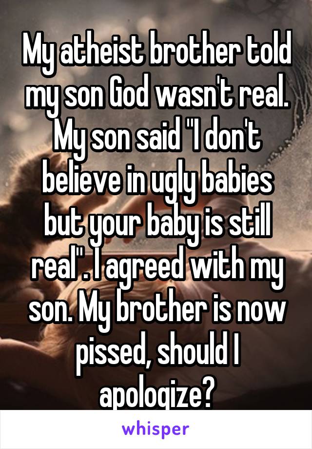 My atheist brother told my son God wasn't real. My son said "I don't believe in ugly babies but your baby is still real". I agreed with my son. My brother is now pissed, should I apologize?