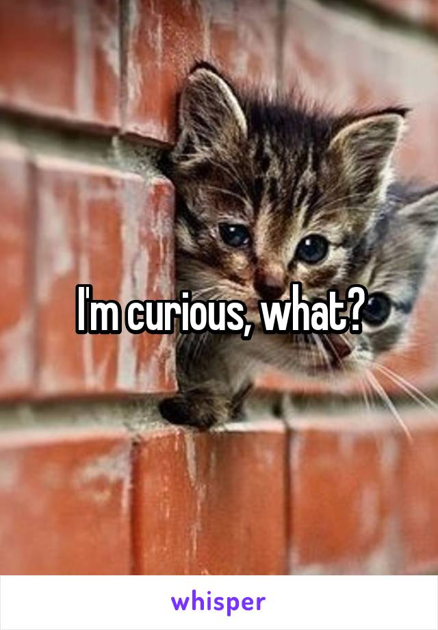 I'm curious, what?