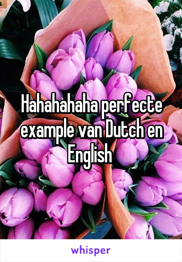 Hahahahaha perfecte example van Dutch en English 