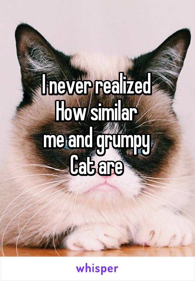 I never realized 
How similar 
me and grumpy 
Cat are 
